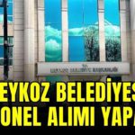 beledi